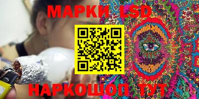 индика Кулебаки