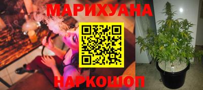 индика Кулебаки