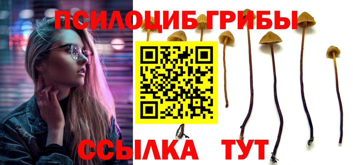 Гусь-Хрустальный  Псилоцибиновые грибы мицелий  Вход с VPN 